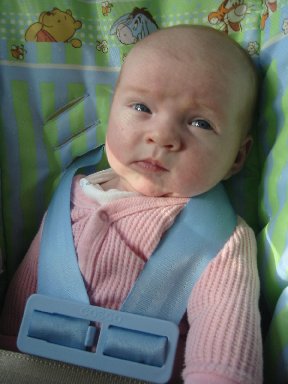 In the car seat